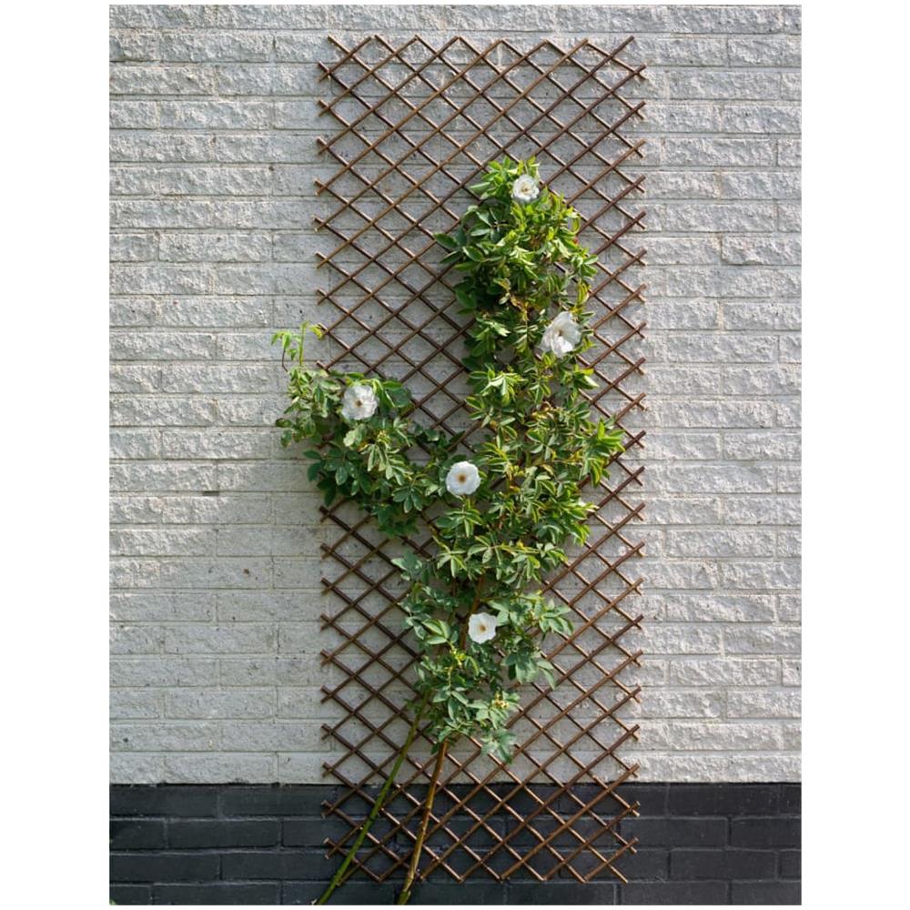 Traliccio Da Giardino 60x180 Cm Salice Naturale Marrone - Foto 3