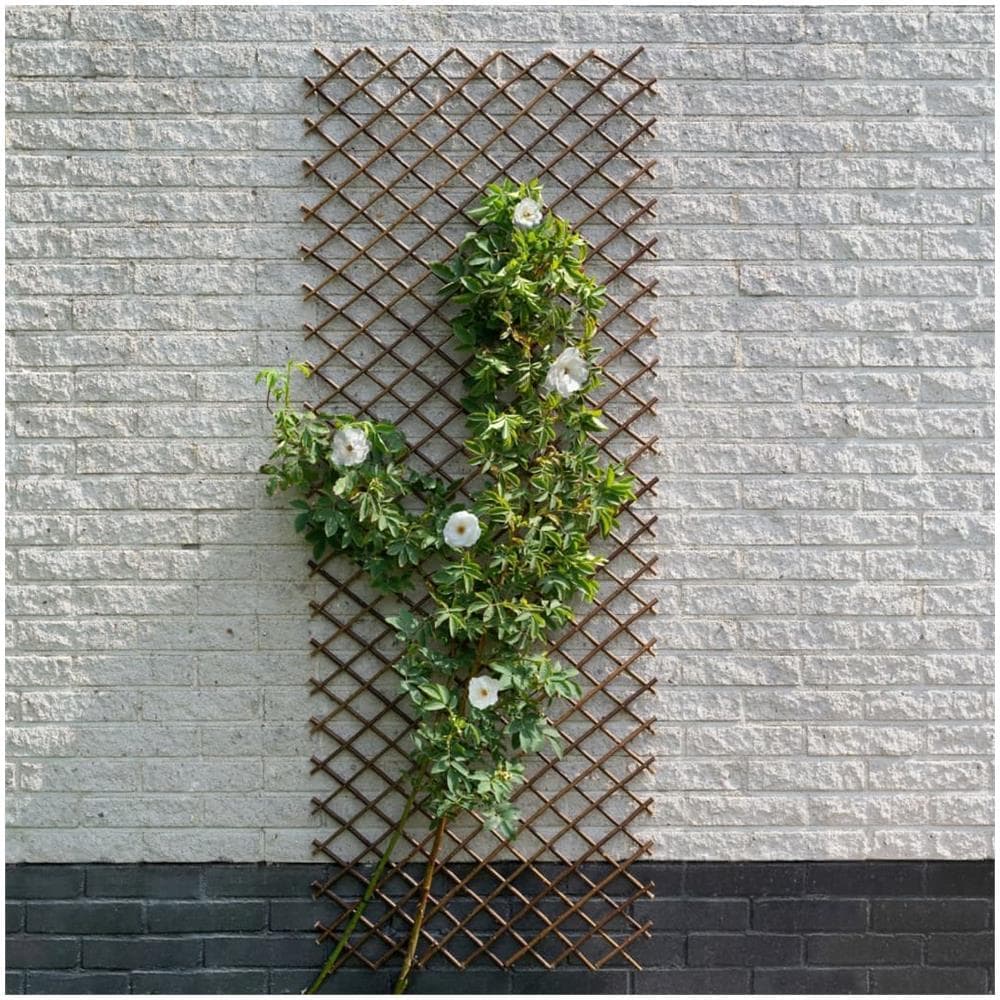Traliccio Da Giardino 60x180 Cm Salice Naturale Marrone - Foto 1