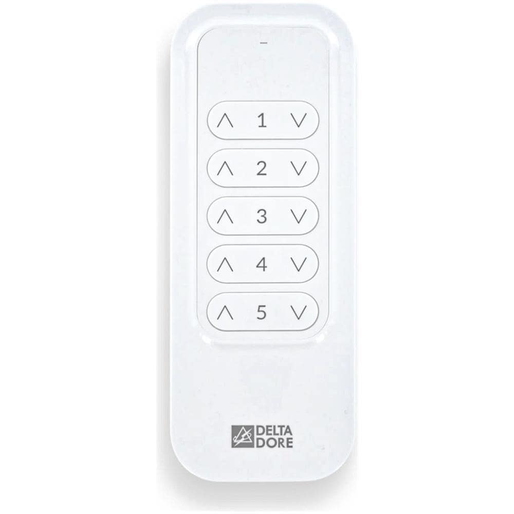 Telecomando A 5 Canali - Foto 1