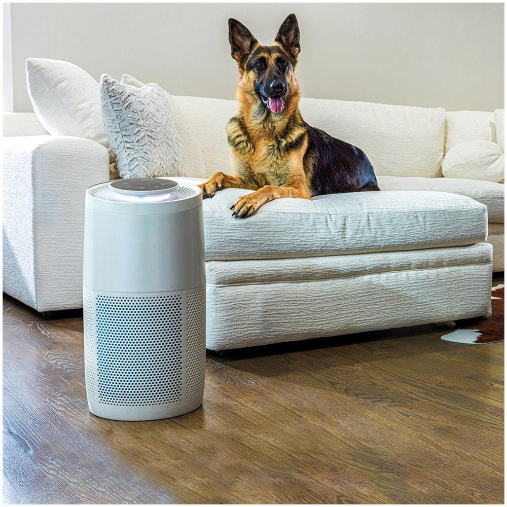 Purificatore D'aria Instant™ Ap300 Bianco Perla - Foto 2