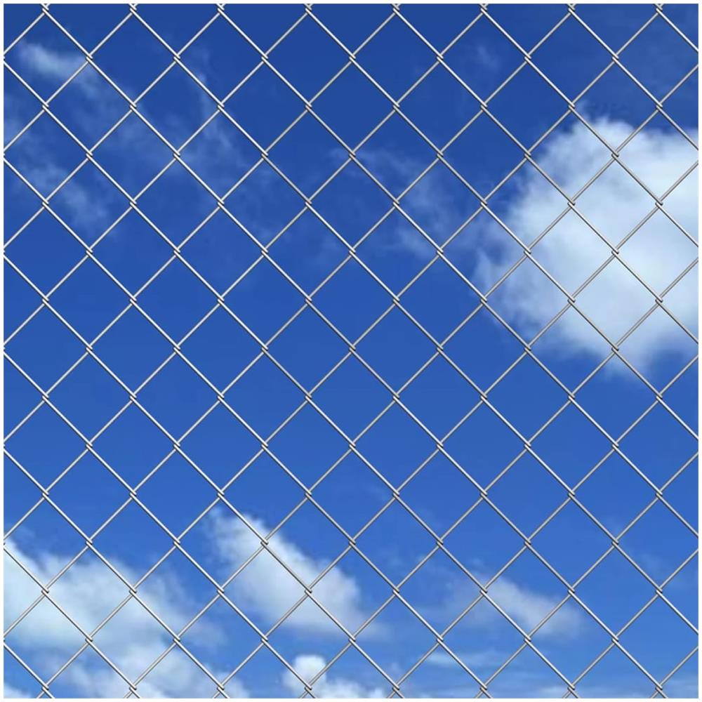 Recinzione A Rete Zincata 25 X 1,25 M Con Pali - Foto 2