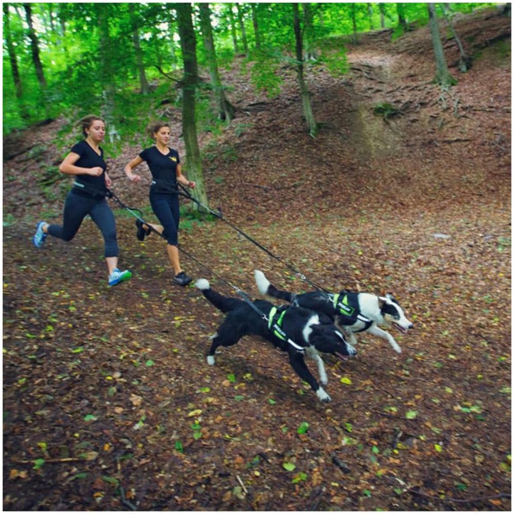 Cintura Da Jogging Per Cani 1,9 M Misura 0 Nero 110jo / 0 - Foto 2