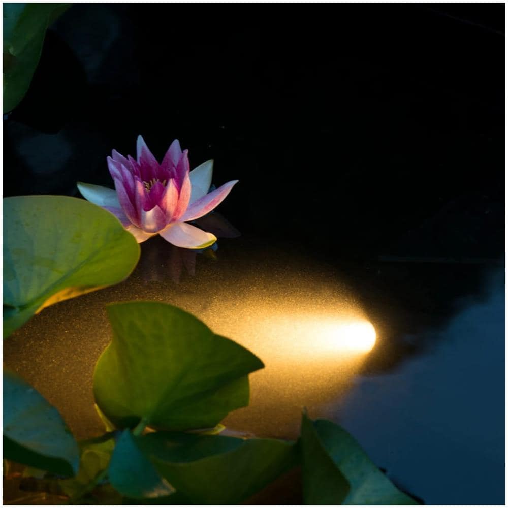 Lampada Subacquea Per Laghetti Led Aqua Spotlight 6w - Foto 2