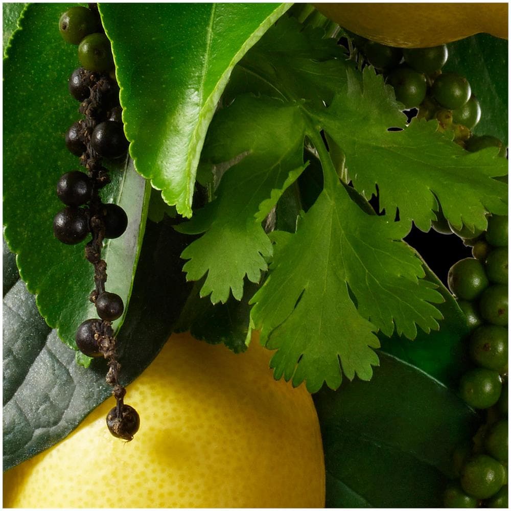 Ricaricare Black Pepper Bath Shower Gel - Foto 2