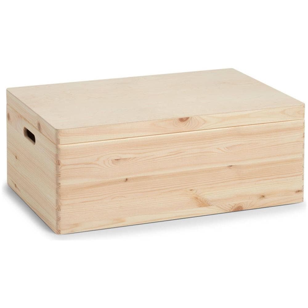Contenitore Con Coperchio, Organizer 58l, - Foto 7