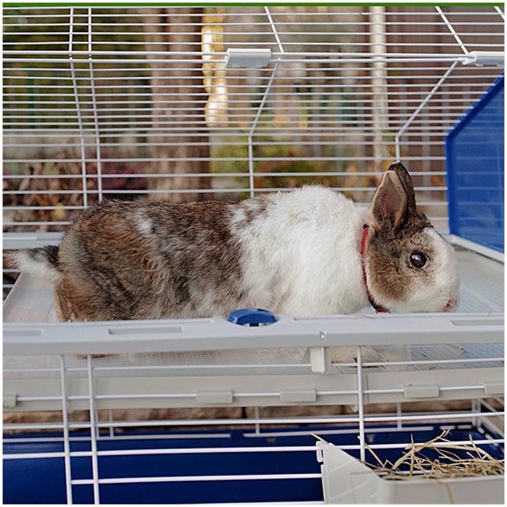 Gabbia Coniglio Barn 80 Grigia - Foto 2