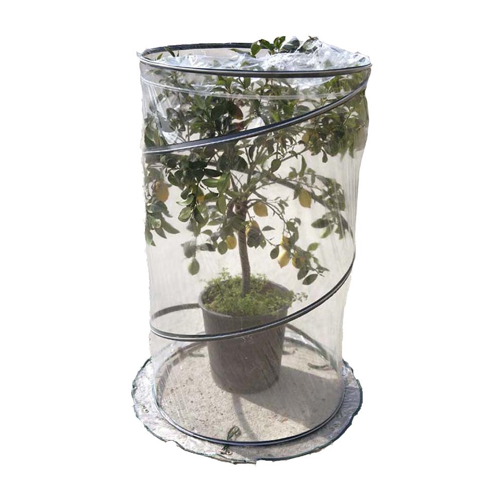 Serra Pop-up Citrus - Foto 2