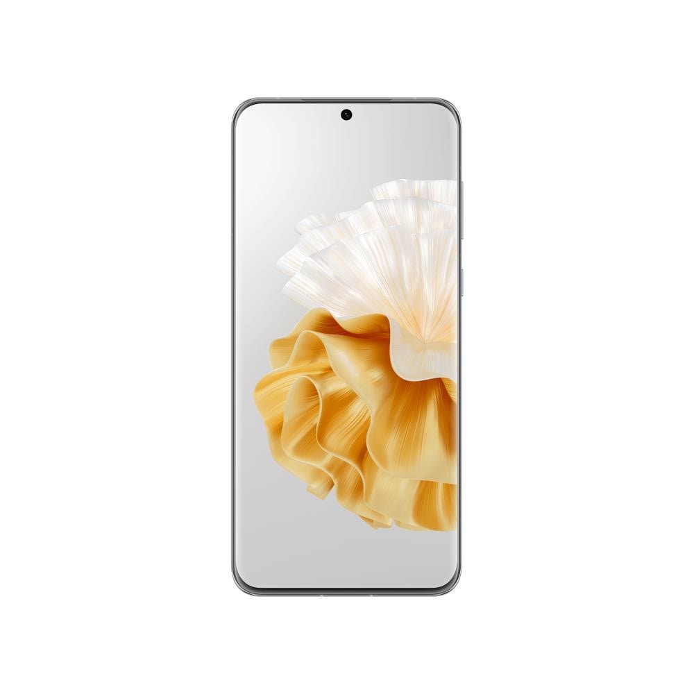 [Ricondizionato BASIC] Huawei P60 Pro 16,9 cm (6.67") Doppia SIM 4G USB tipo-C 8 GB 256 GB 4815 mAh Perlato - Foto 1