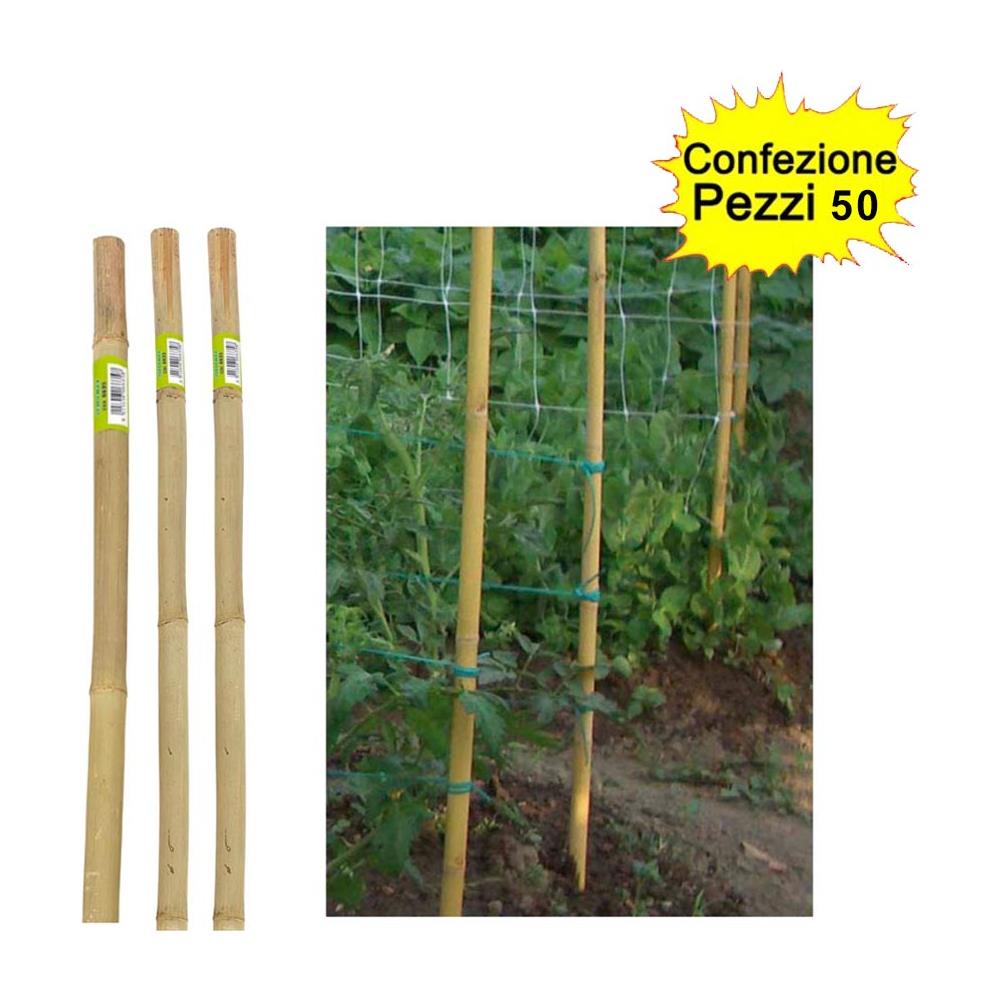 Tutori In Bamboo Pesante 50 Pezzi 22-24 Mm X Altezza 150 Cm Pareti Divisorie Pali Pomodori - Foto 1