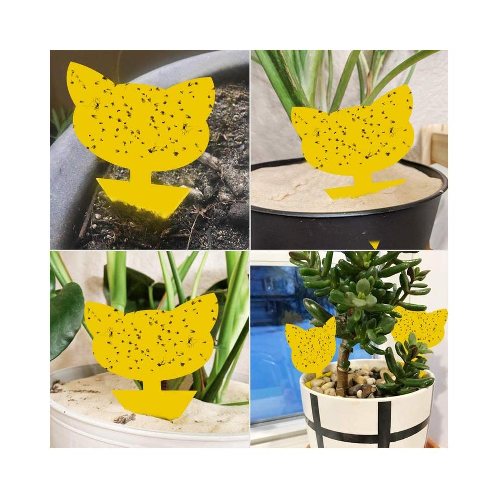 Confezione Da 60 Acchiappamosche/trappola Per Mosche/trappola Per Insetti Appiccicosa Yellow - Foto 2
