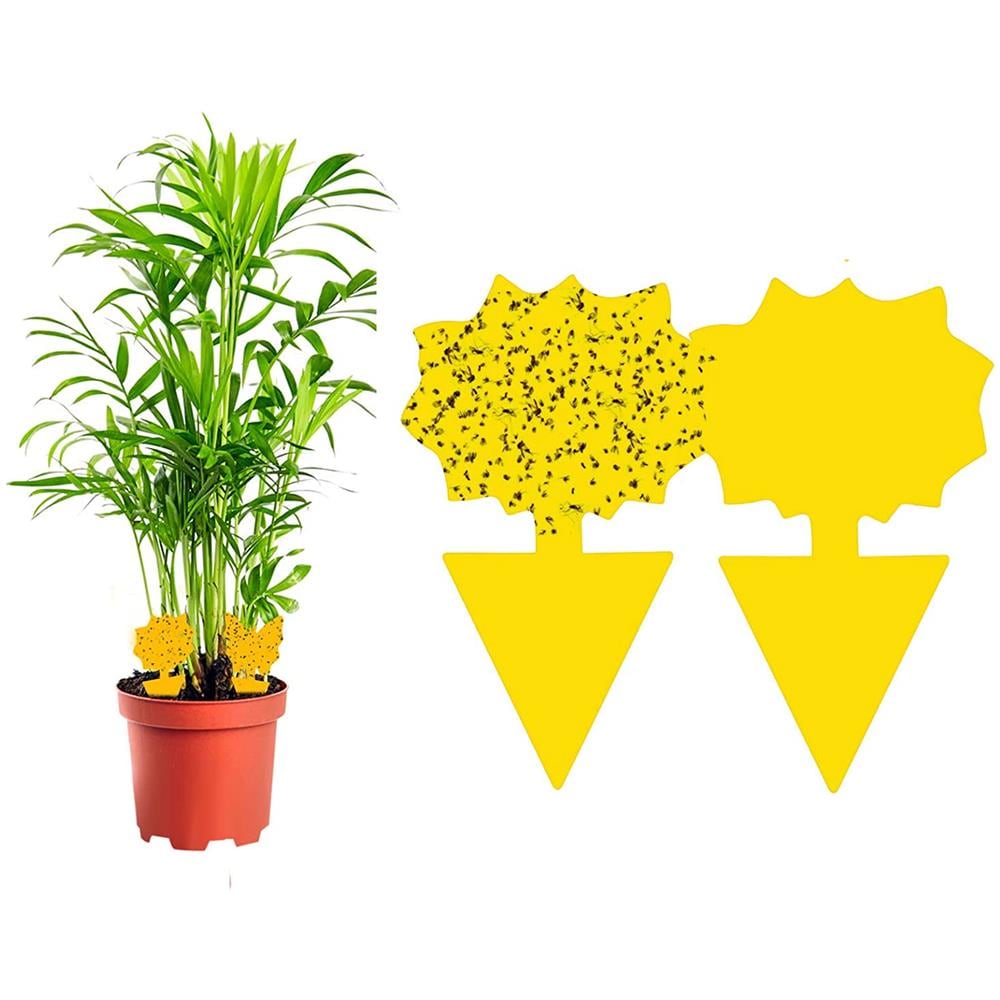 Confezione Da 60 Acchiappamosche/trappola Per Mosche/trappola Per Insetti Appiccicosa Yellow - Foto 8