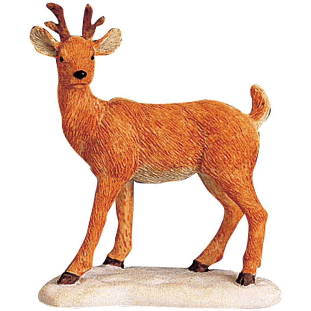 Cerbiatto - Deer On The Hoof - Foto 2