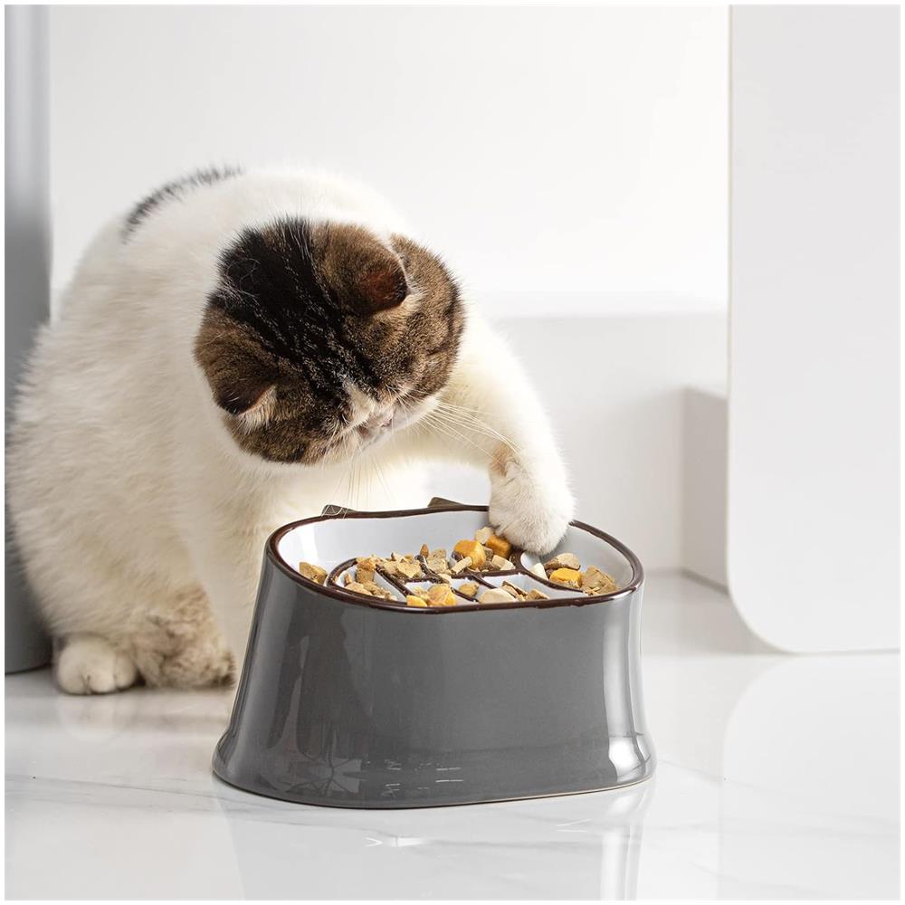 Ciotola per Gatti Anti-Ingoiamento Rialzata - Foto 7