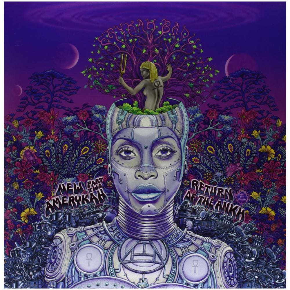 Erykah Badu - New Amerykah Part Two (2 Lp)  - Foto 1