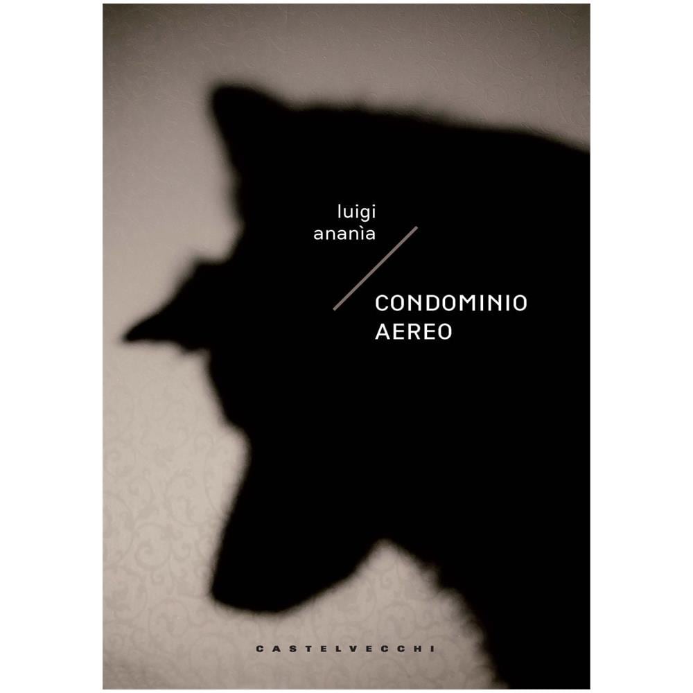 Luigi Ananìa - Condominio aereo - Foto 1
