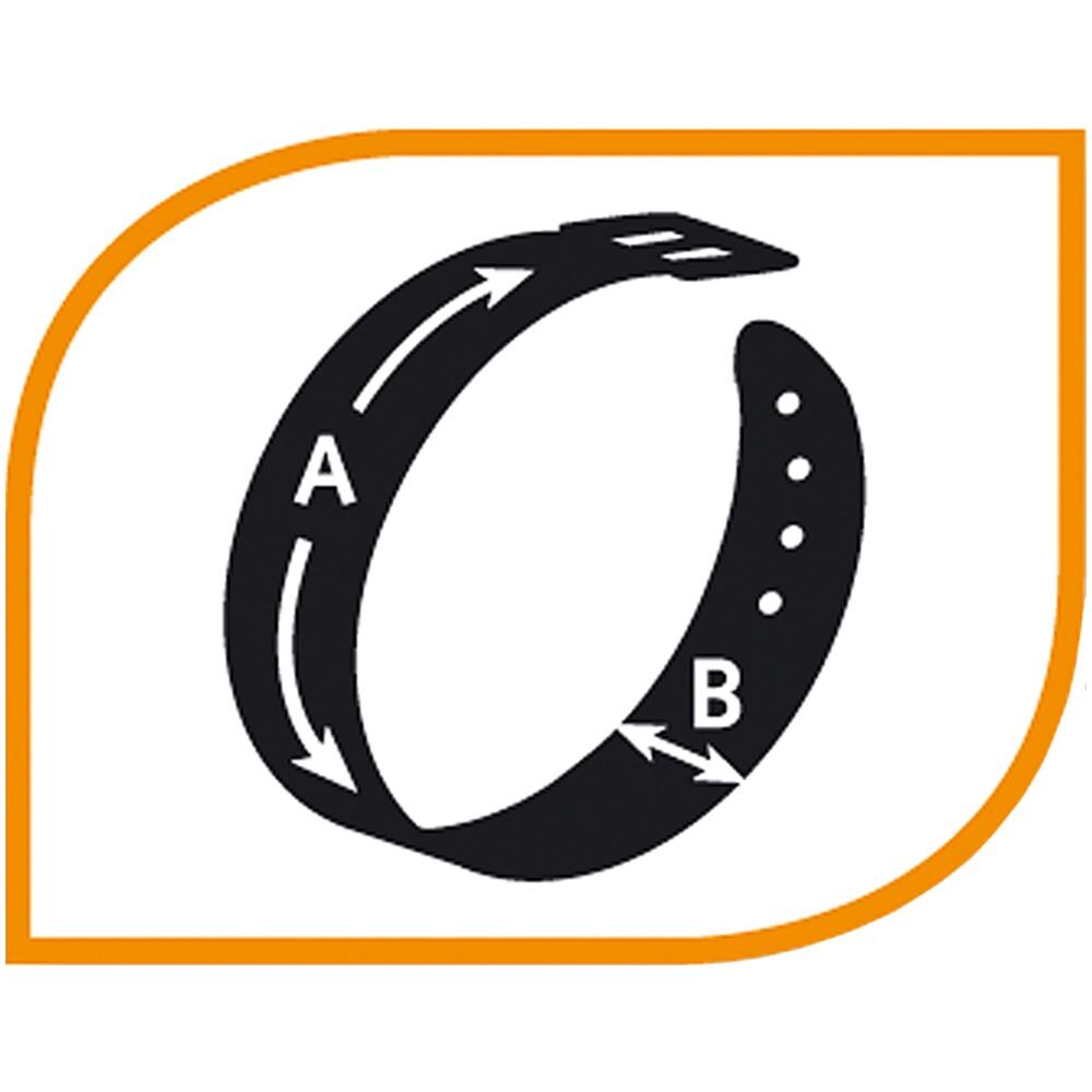 Collare Per Cani Giotto Luxor C30/67, In Vera Pelle Con Borchie Argentate - Foto 2