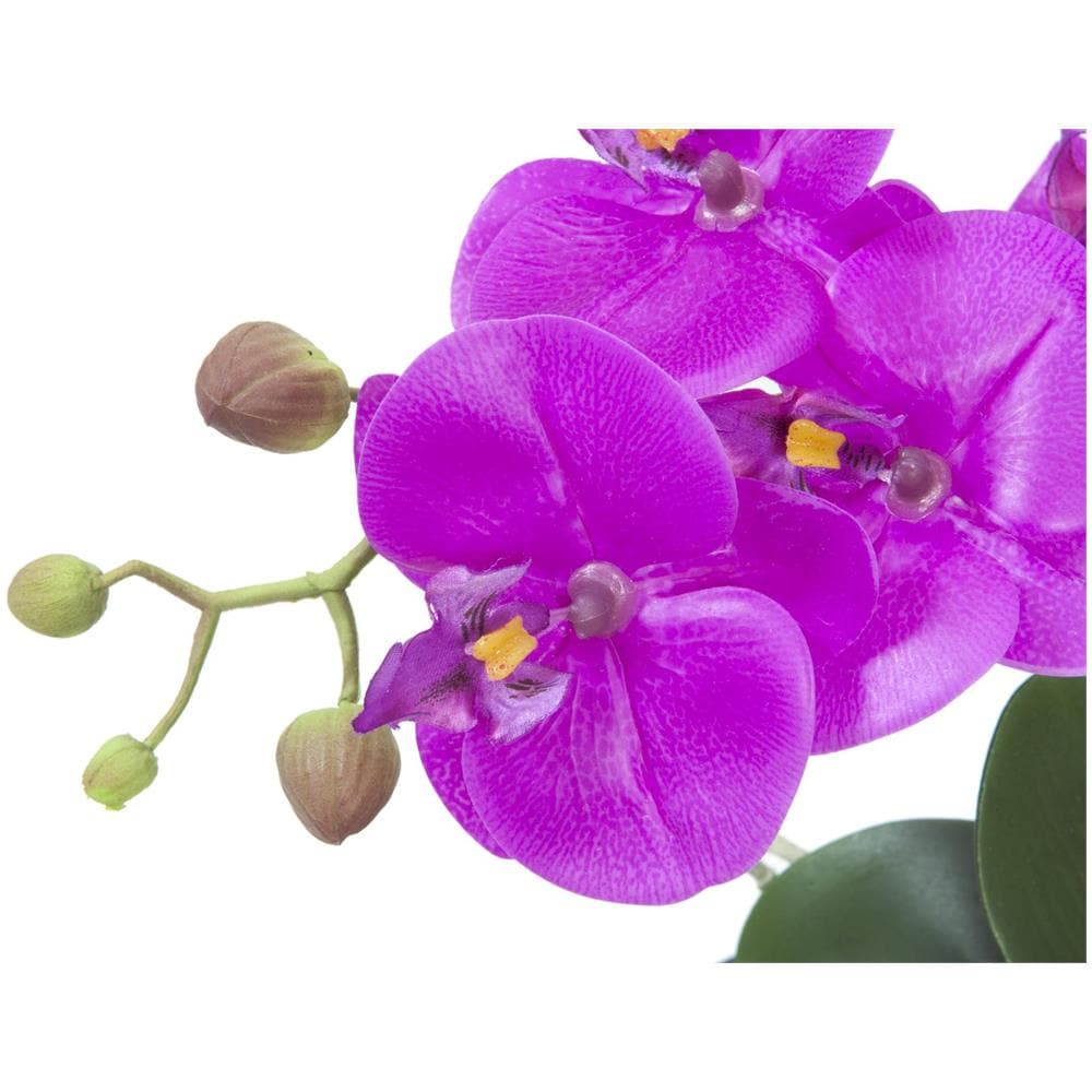 Orchidea Disposizione 4 - Foto 1