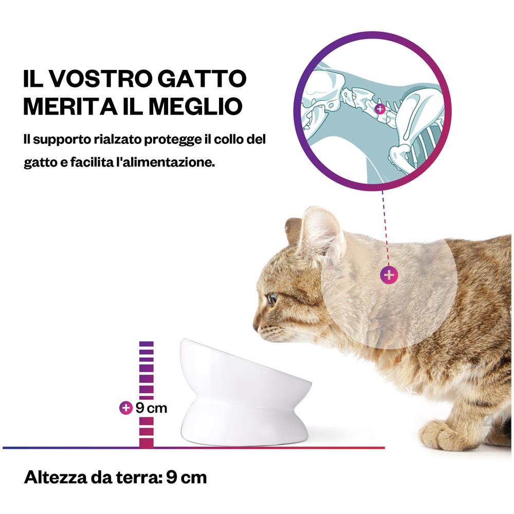 Ciotola per gatti, Ciotole per cibo per gatti inclinate rialzate - Foto 7