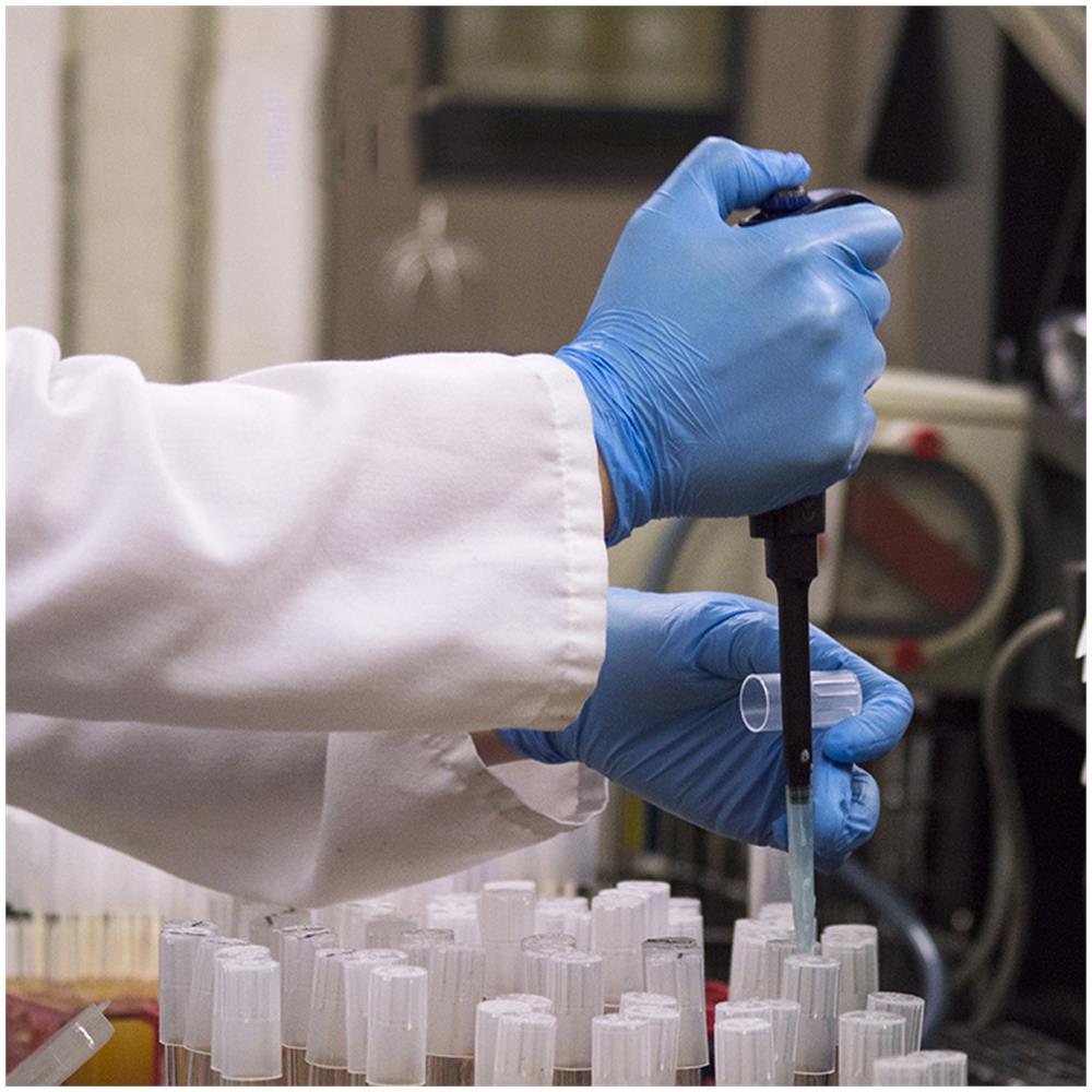 Guanti Monouso In Nitrile Senza Polvere Senza Lattice, 1 scatola, 100 guanti, misura L - Foto 3