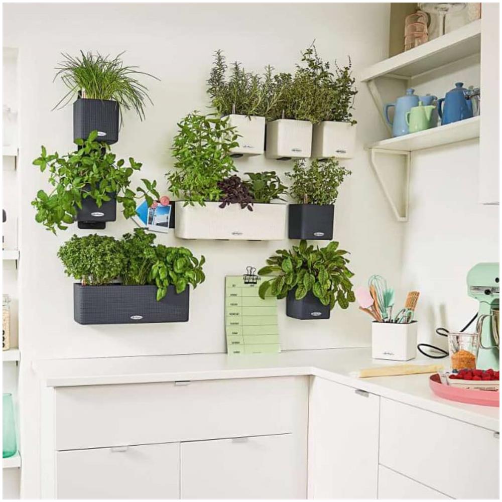 Green Wall Home Kit Vaso a cubo Montabile a parete Polipropilene (PP), Ardesia Nero Interno - Foto 2