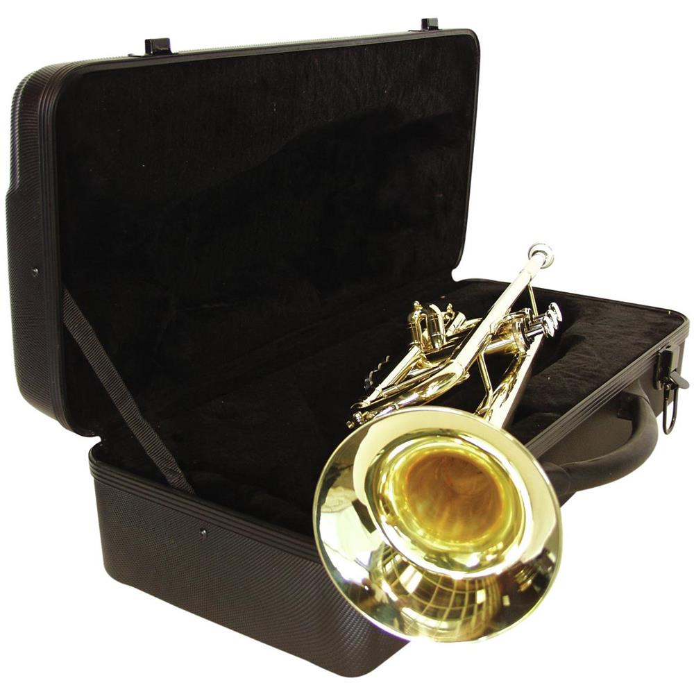 Tromba In Sib, Color Oro, Con Custodia E Accessori, Tp-20 - Foto 4