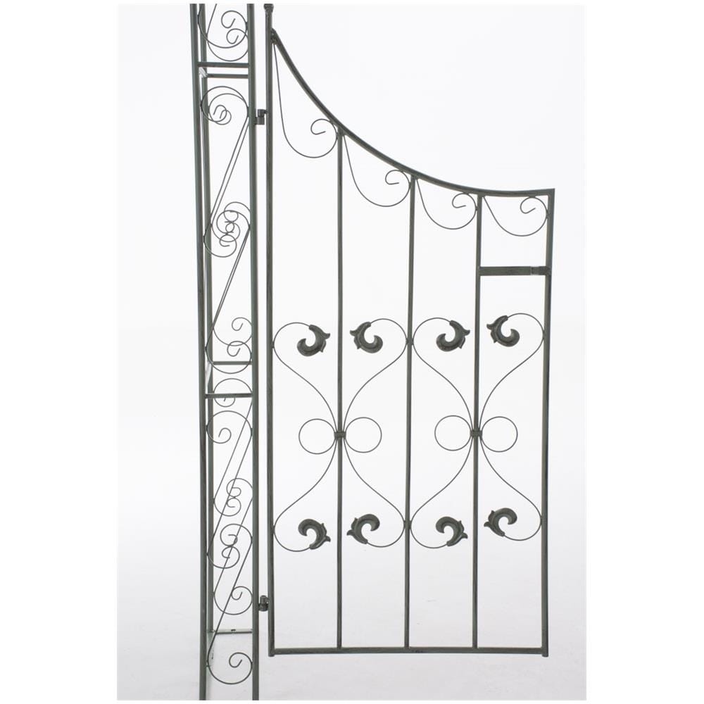 Arco Di Rose M. Porta Sina - Foto 7