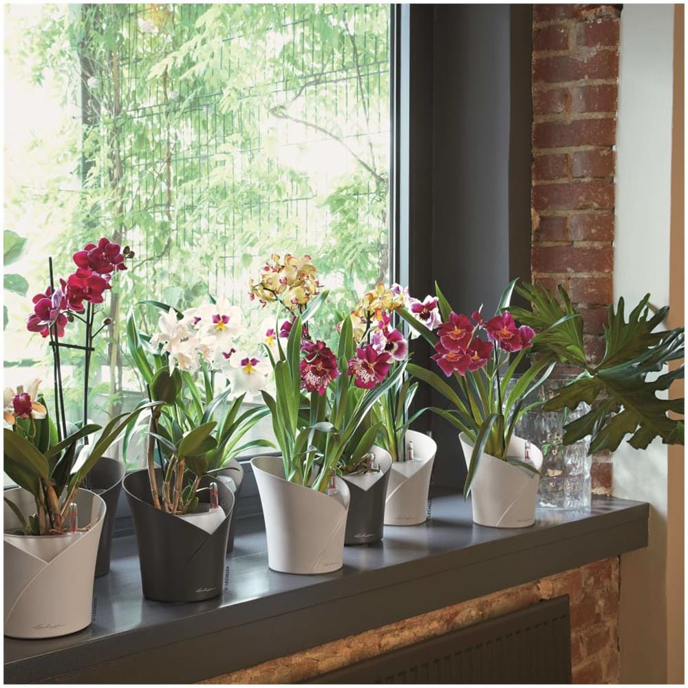 ORCHIDEA Vaso a cubo Libera installazione Bianco Interno - Foto 7