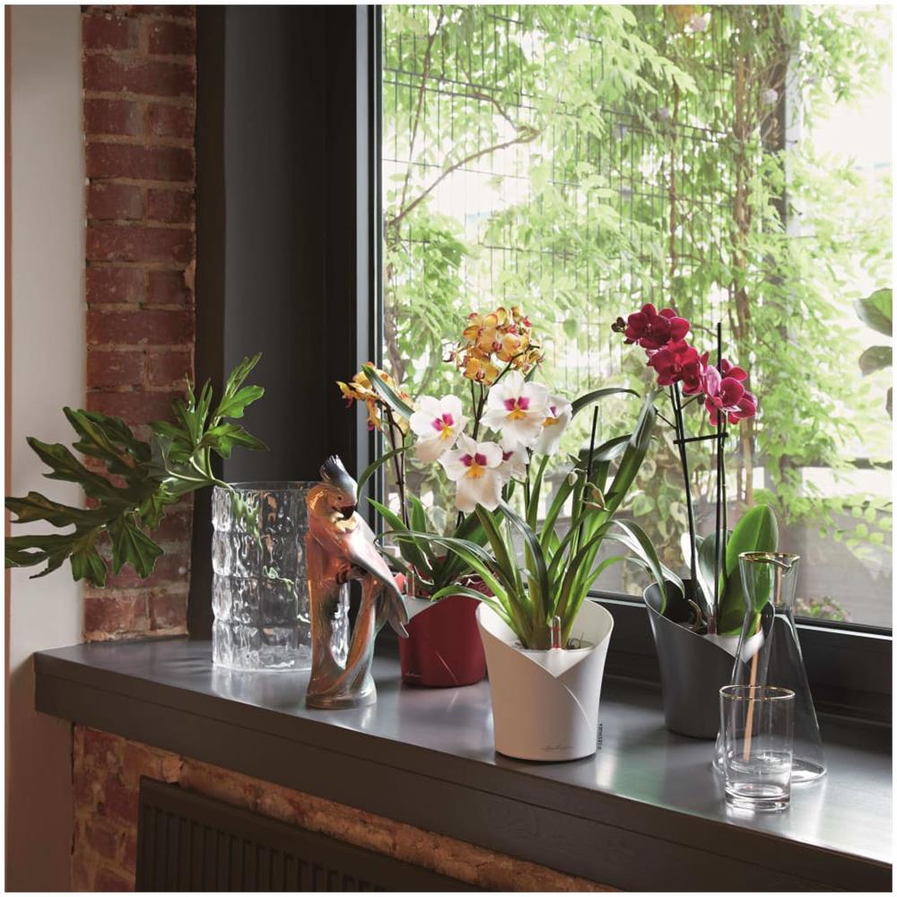 ORCHIDEA Vaso a cubo Libera installazione Grigio Interno - Foto 2