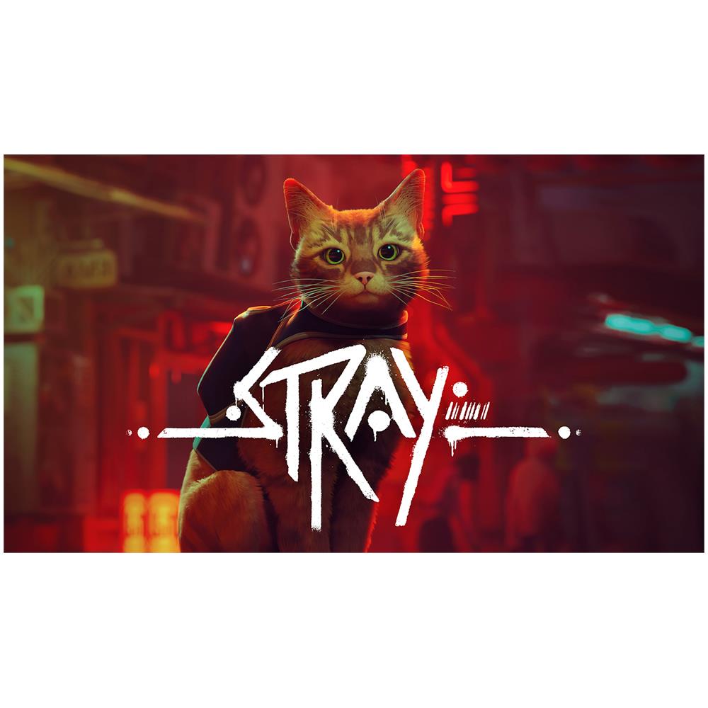 Stray Standard Cinese semplificato, Cinese tradizionale, Tedesca, DUT, Inglese, ESP, Francese, ITA, Giapponese, Coreano, Portoghese, Russo Nintendo Switch - Foto 1