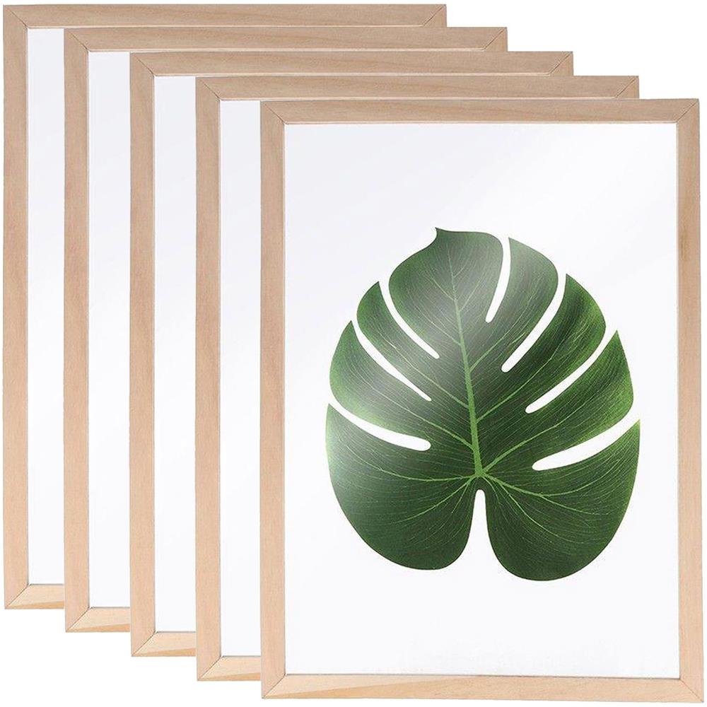 5 Cornici In Legno Per Erbario A4 - Foto 1