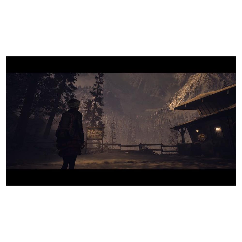 Until Dawn Per PS5 - Foto 2