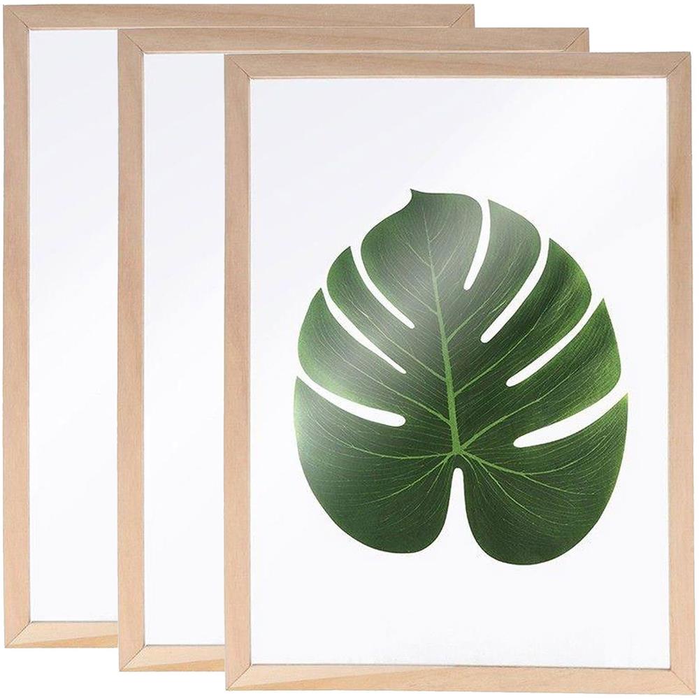 3 Cornici In Legno Per Erbario A4 - Foto 1