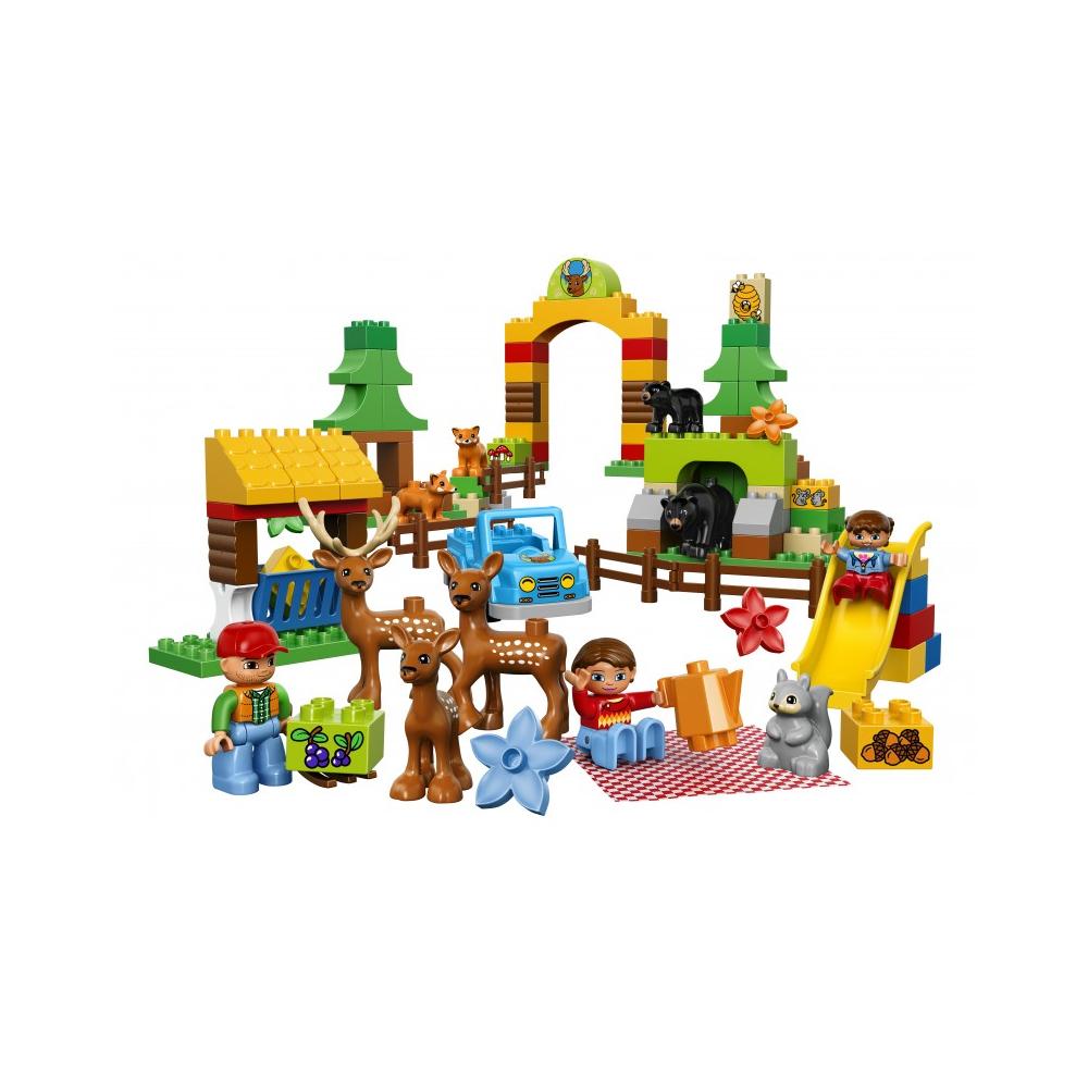 10584 Foresta: Parco - Foto 2