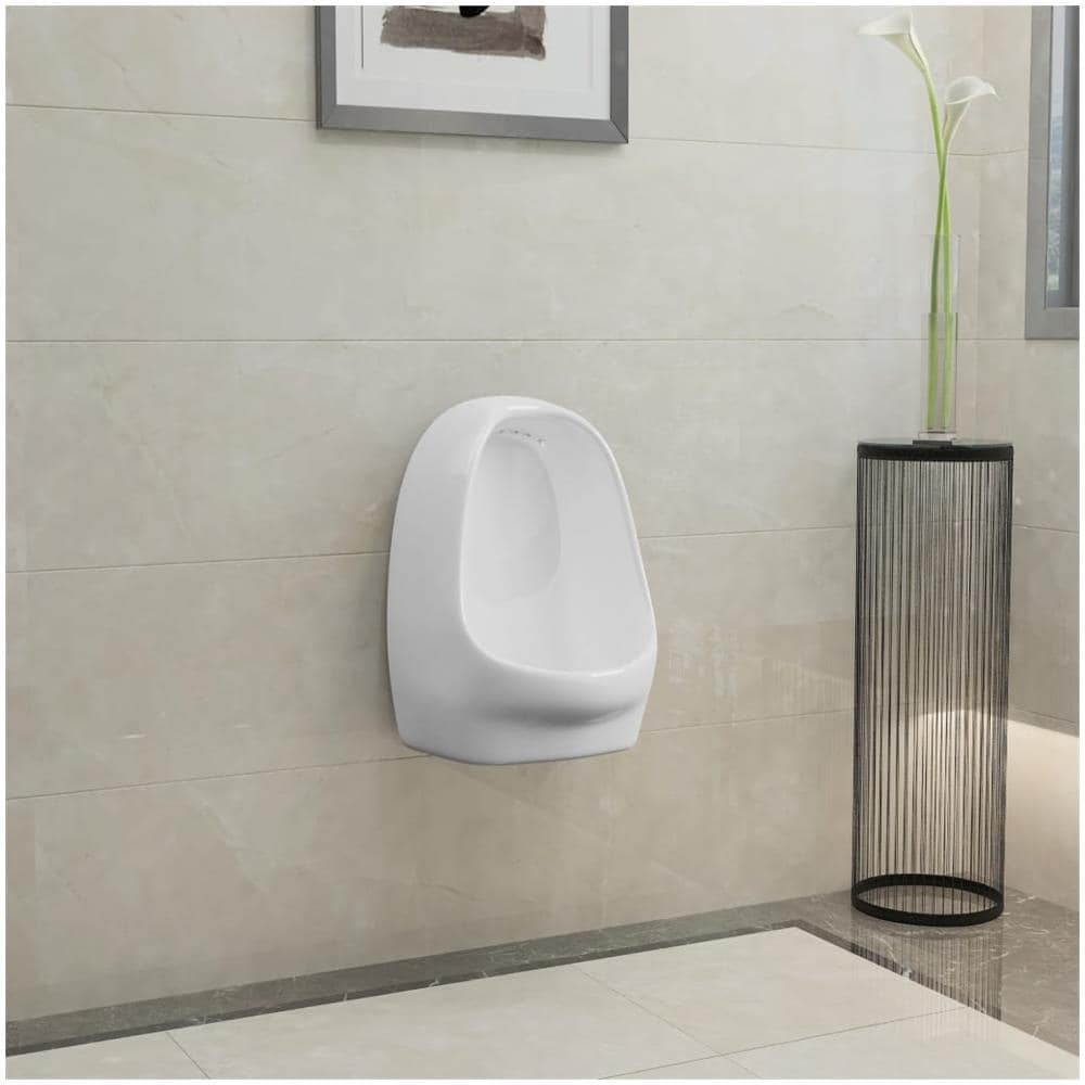 WC Orinatoio Sospeso con Sciacquone in Ceramica Bianco - Foto 7