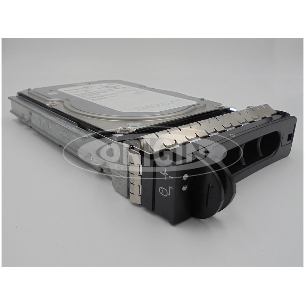 Storage 2000NLS / 7-S6, Serial Attached SCSI (SAS) , 2000 GB, 8,89 cm (3.5") , Argento - Foto 2