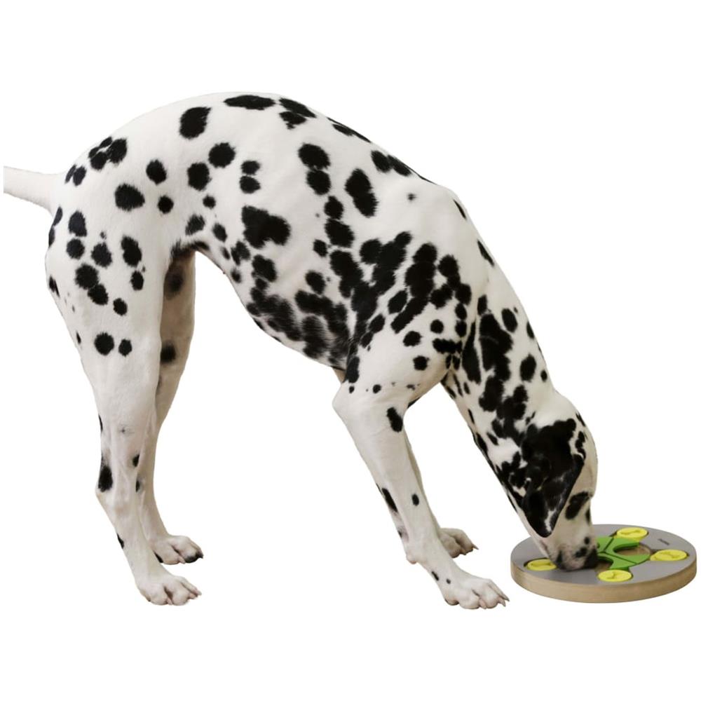 Gioco Educativo Per Cani Switch 25x2,5cm - Foto 1