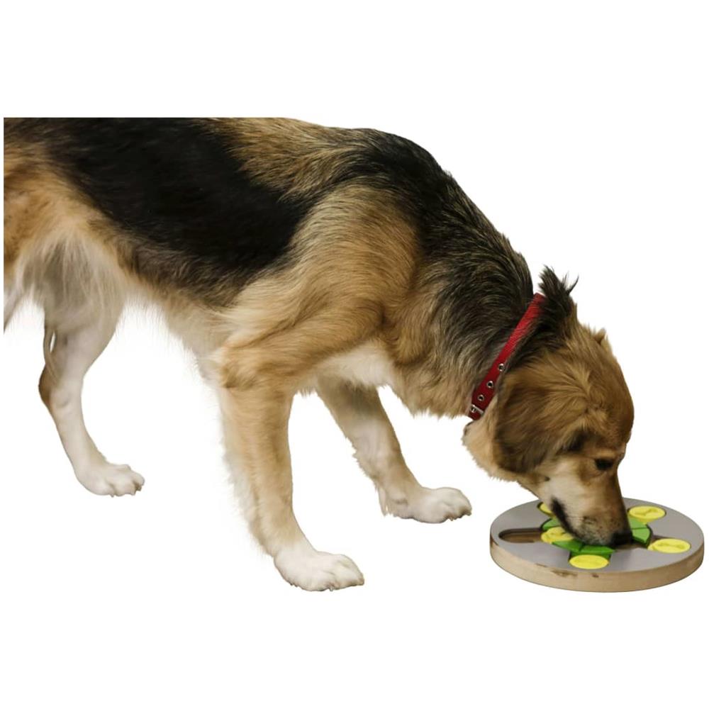 Gioco Educativo Per Cani Switch 25x2,5cm - Foto 2