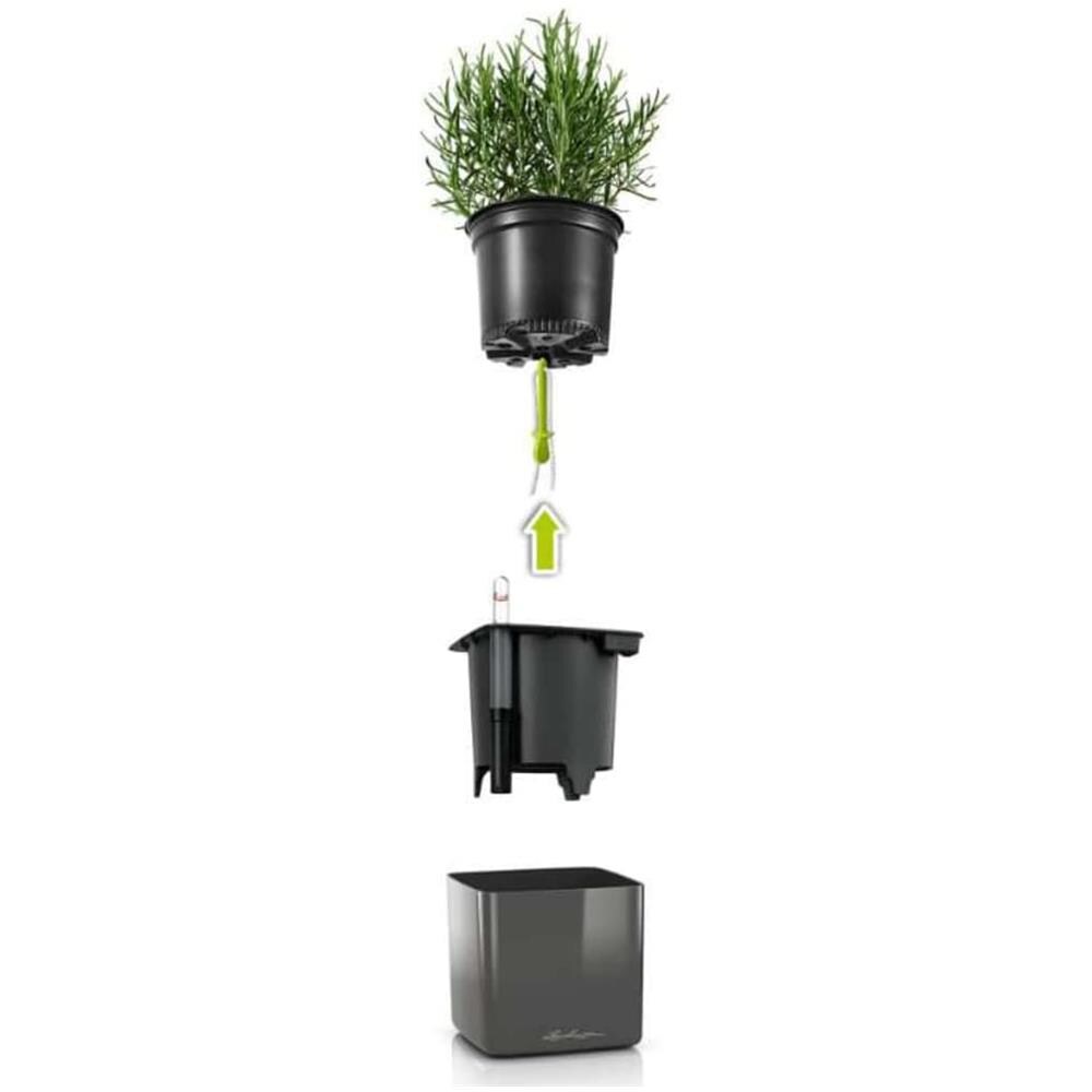 Green Wall Home Kit Glossy Vaso a cubo Montabile a parete Polipropilene (PP) Nero Interno - Foto 2