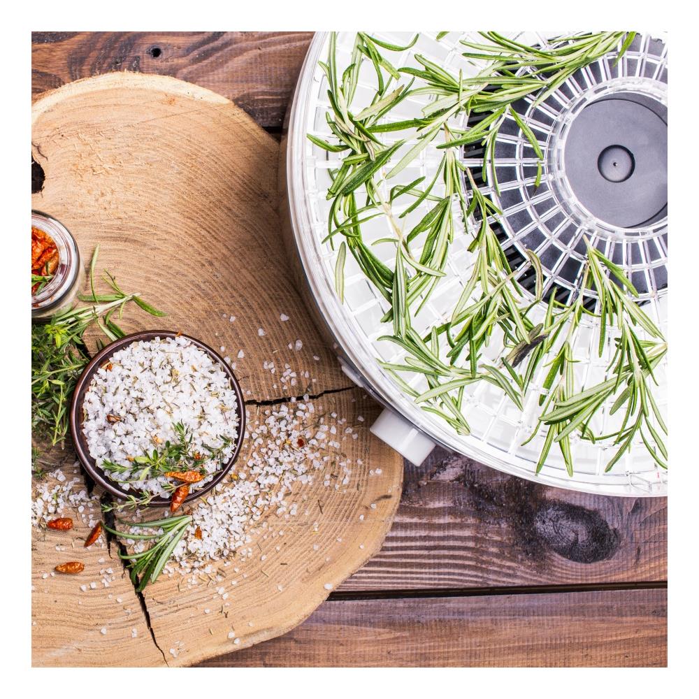 Msg-11 Essiccatore Di Alimenti, 5 Vassoi, Senza Bpa, Selettore Di Temperatura 35°c-70°c 500w - Foto 2