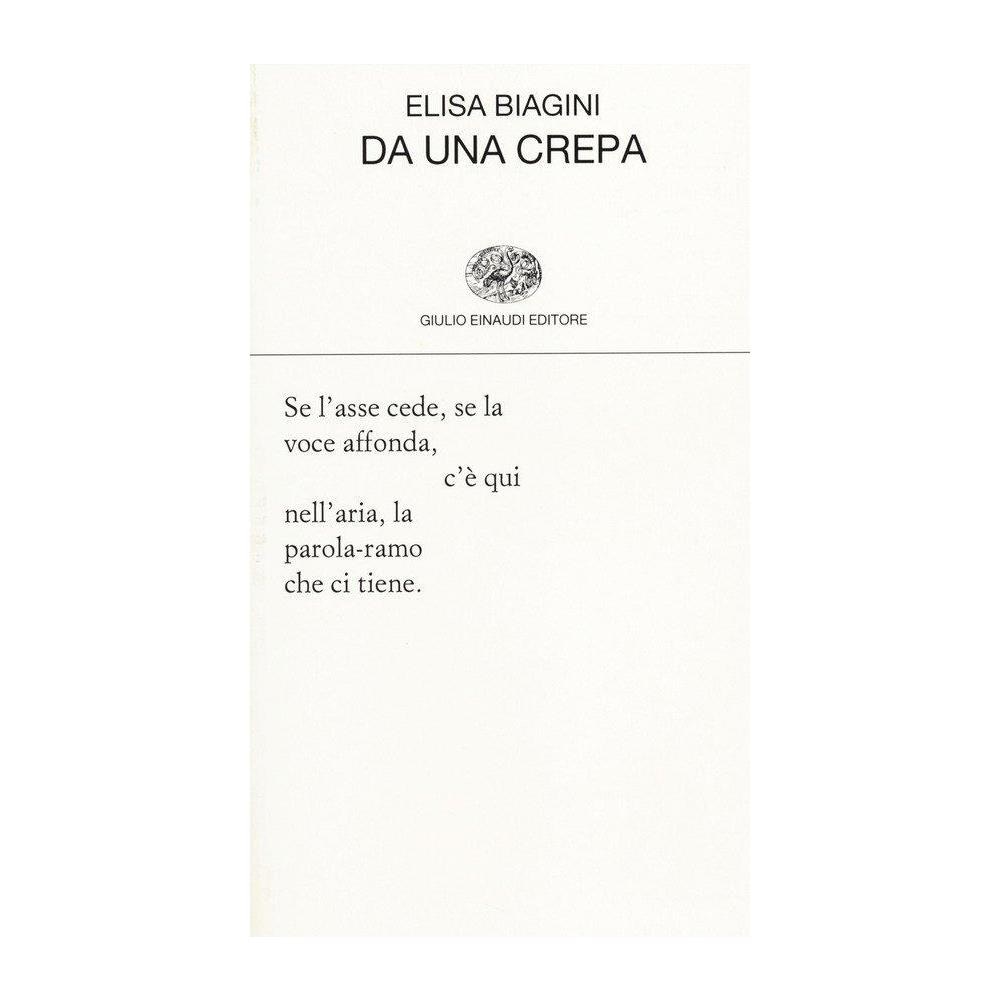 Elisa Biagini - Da una crepa - Foto 1