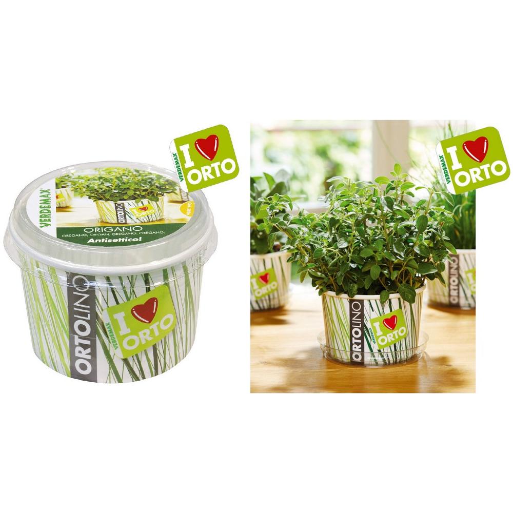 Kit Ortolino, Vaso Pp, Terriccio, Semi Origano - Foto 1