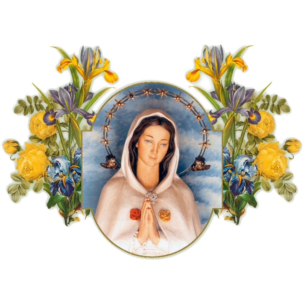 Andrea Tornielli - Fratel Ettore & Il Miracolo Di Rosa Mistica - Disponibile dal 12/09/2018 - Foto 1