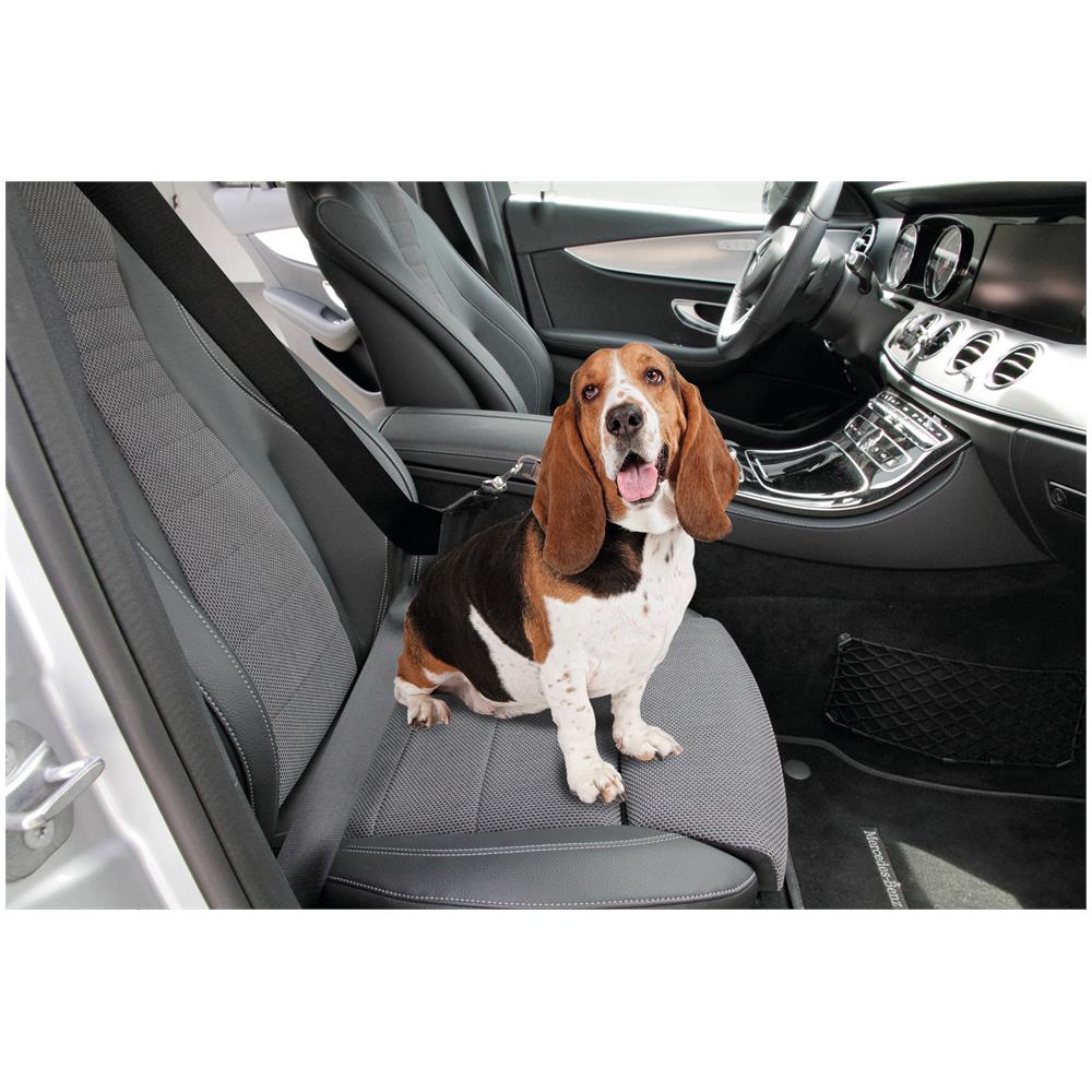 Cintura Di Sicurezza Supplementare Per Pettorina O Collare - Foto 2