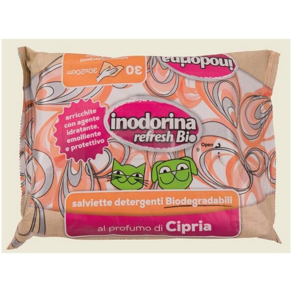 Spazzola Bucato Saggina Gigante - Accessorio Per La Casa - Foto 2