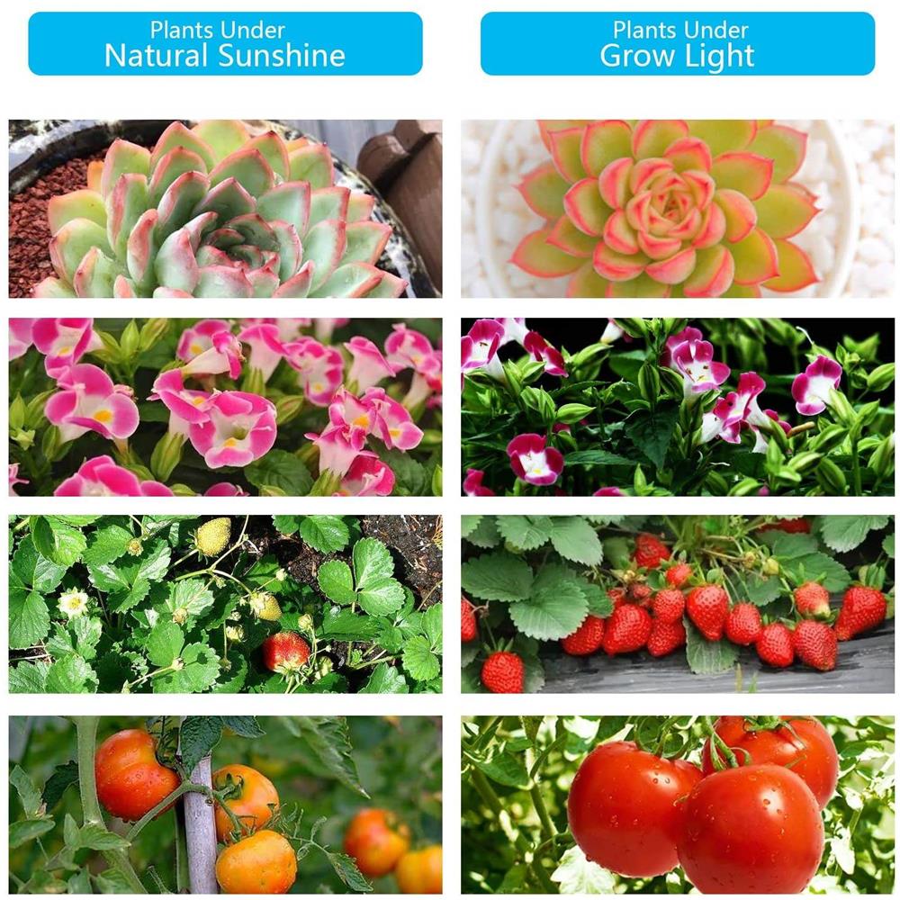 Lampada Per Piante / Illuminazione Per Piante Con 4 Tubi Fluorescenti Led Flessibili   1 Confezione - Foto 2