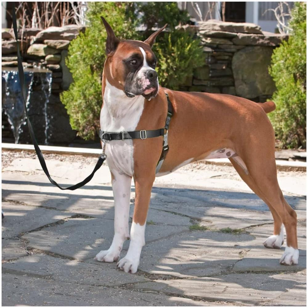 Pettorina per Cani Easy Walk Misura M Nera - Foto 2