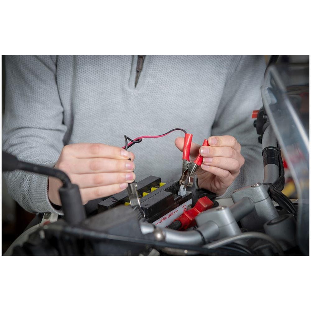 Coppia Di Pinze Per Cavi Alimentazione Batteria 40ah Universali - Foto 4