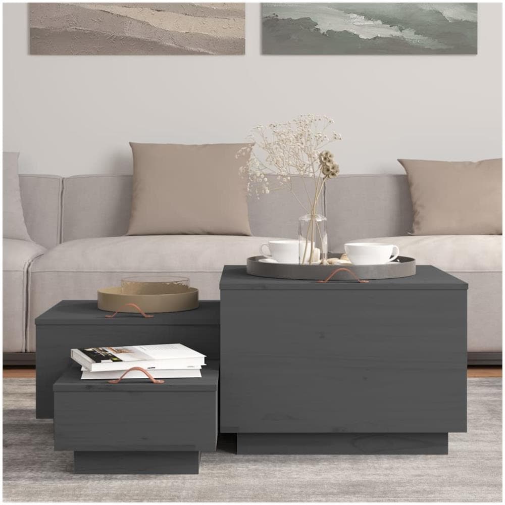 Contenitori Portaoggetti Coperchi 3pz Grigi Legno Massello Pino - Foto 3