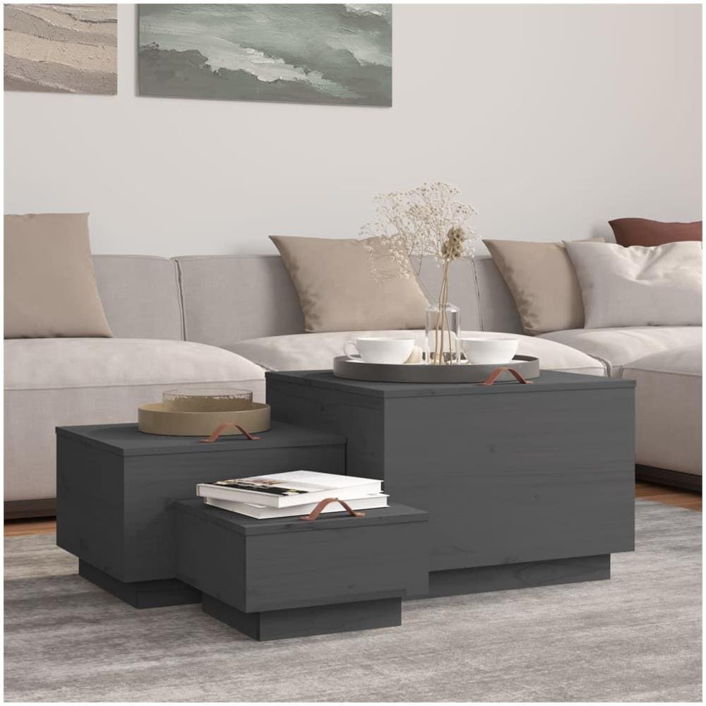 Contenitori Portaoggetti Coperchi 3pz Grigi Legno Massello Pino - Foto 1