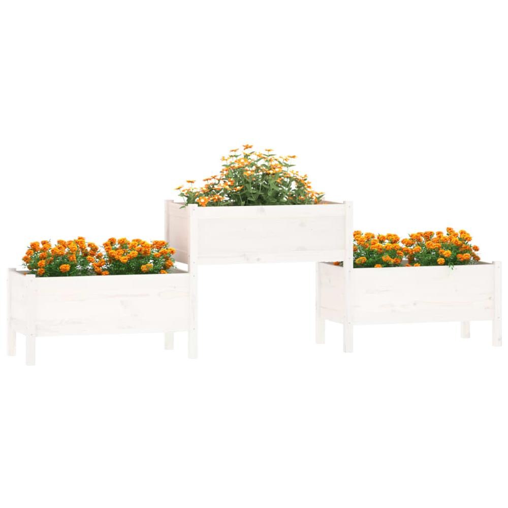 Fioriera Bianca 245,5x44x75 cm in Legno Massello di Pino - Foto 2